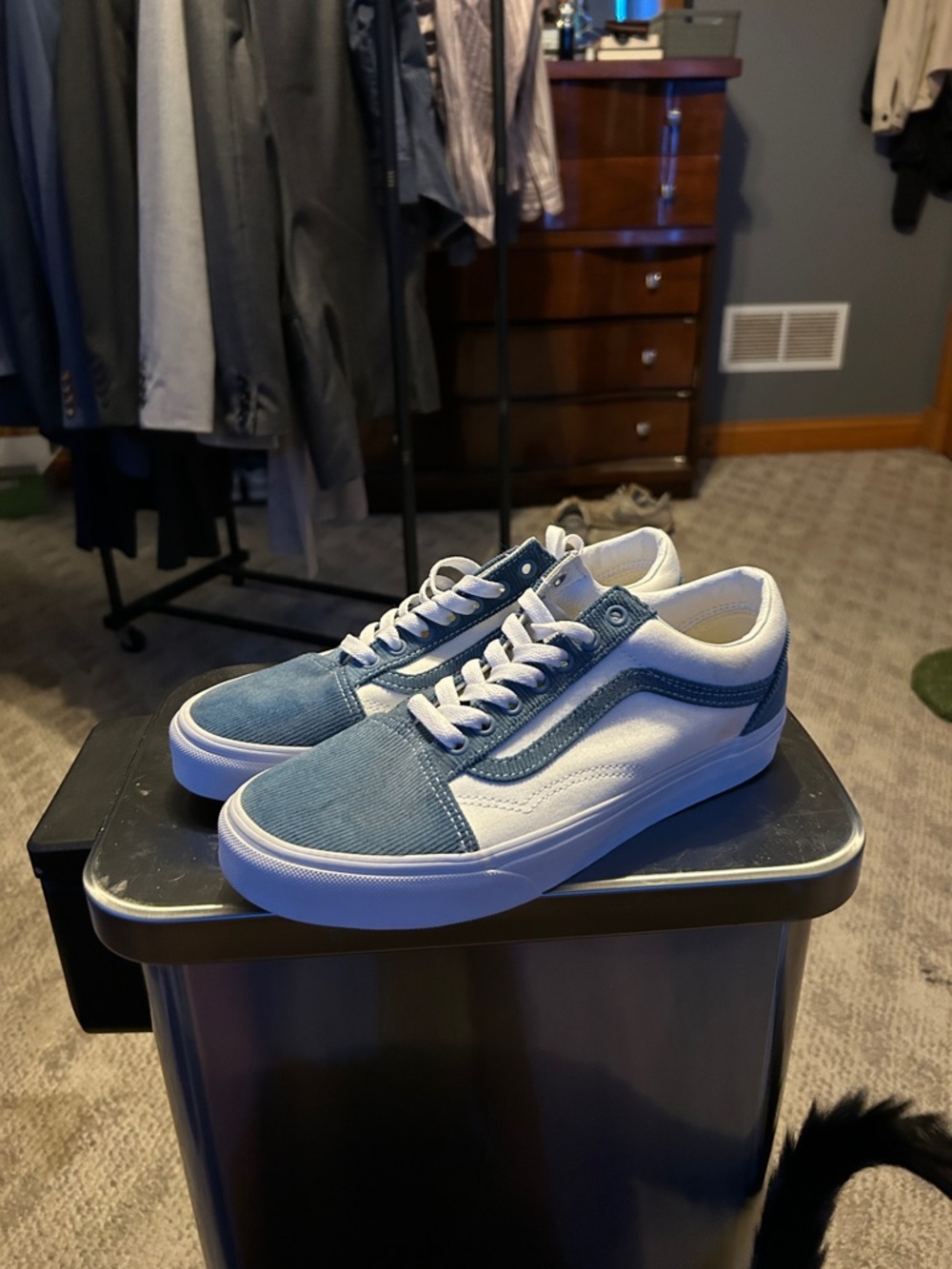 Never worn White Blue Vans